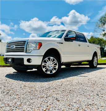 2011 Ford F-150 Platinum SuperCrew 5.5-ft. Bed 4WD