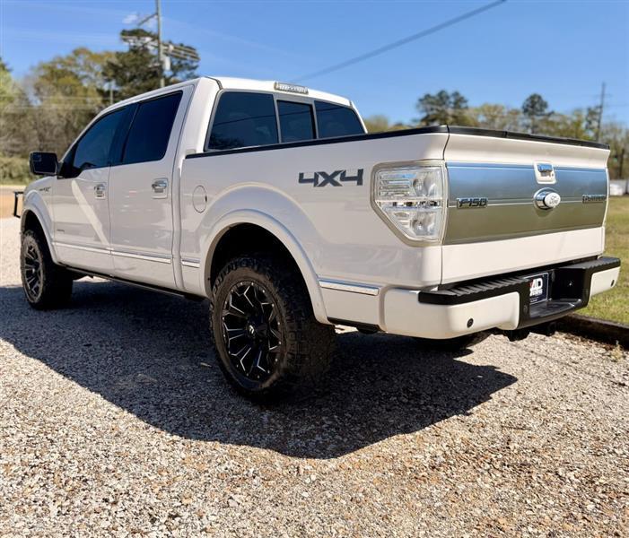 Ford F-150 Platinum SuperCrew 5.5-ft. Bed 4WD 2013