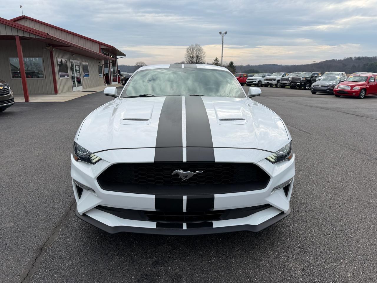 Ford Mustang EcoBoost Fastback 2018