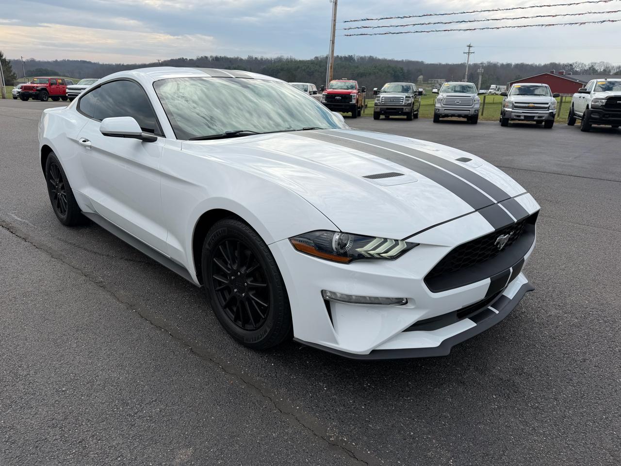 Ford Mustang EcoBoost Fastback 2018