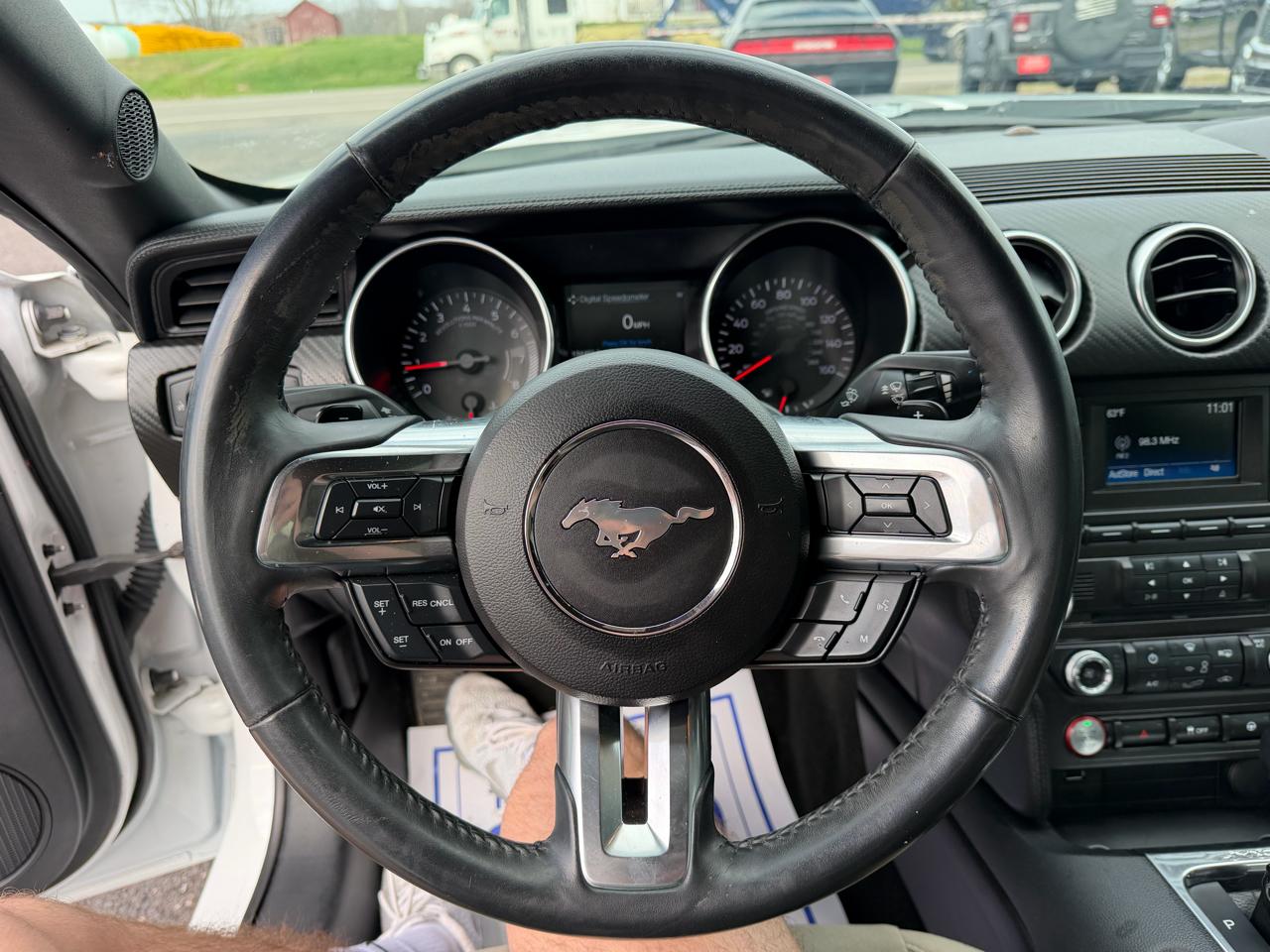 Ford Mustang EcoBoost Fastback 2018