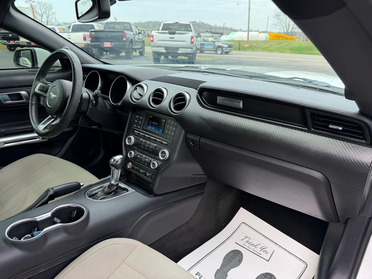 Ford Mustang EcoBoost Fastback 2018