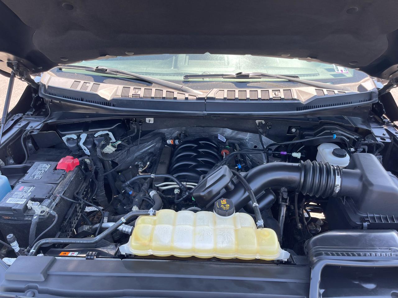Ford F-150 XLT 4WD SuperCab 6.5' Box 2019