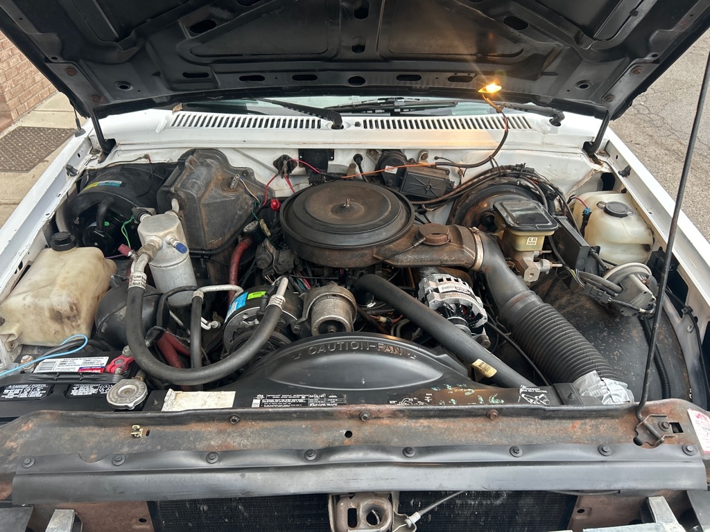 Chevrolet S10 Pickup EL Reg. Cab Short Bed 2WD 1989