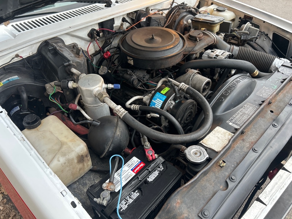 Chevrolet S10 Pickup EL Reg. Cab Short Bed 2WD 1989