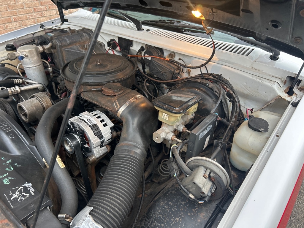 Chevrolet S10 Pickup EL Reg. Cab Short Bed 2WD 1989