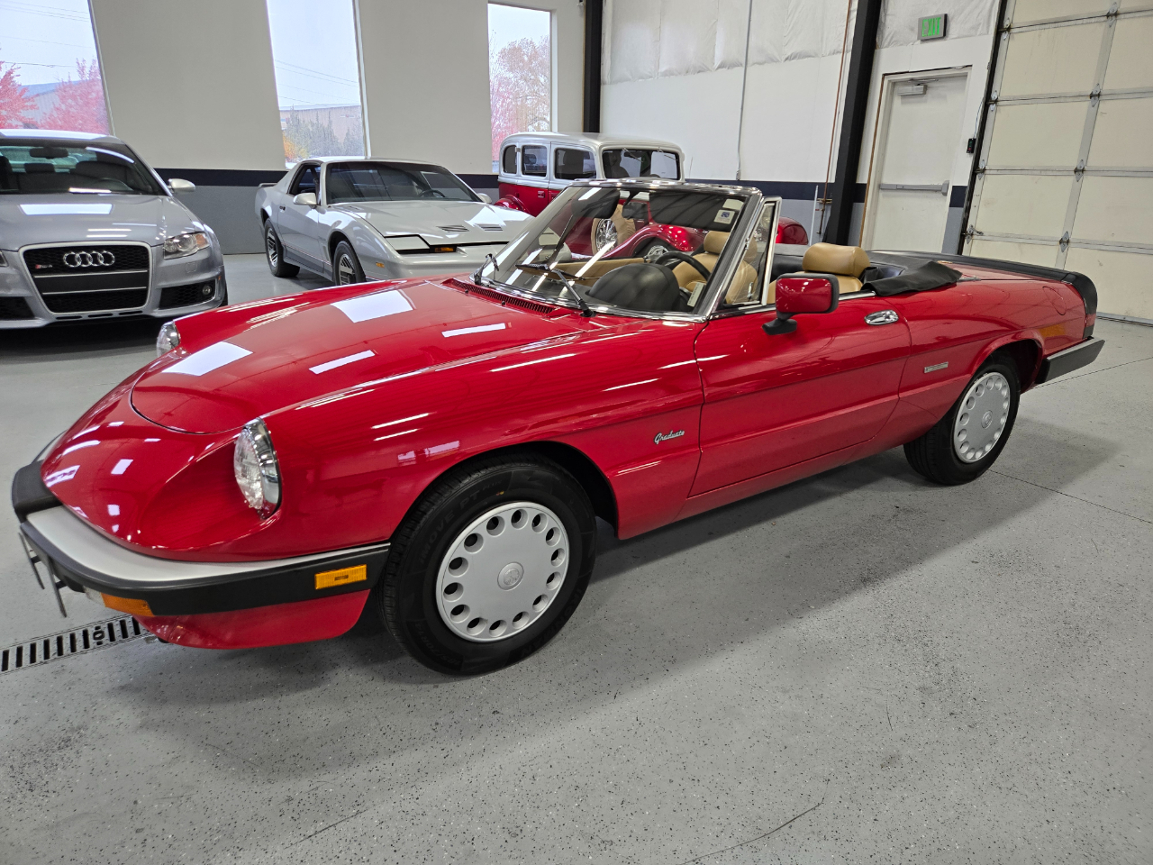 Alfa Romeo Spider 2dr Convertible Graduate 1989 Alfa Romeo Spider 2dr Convertible Graduate 1989