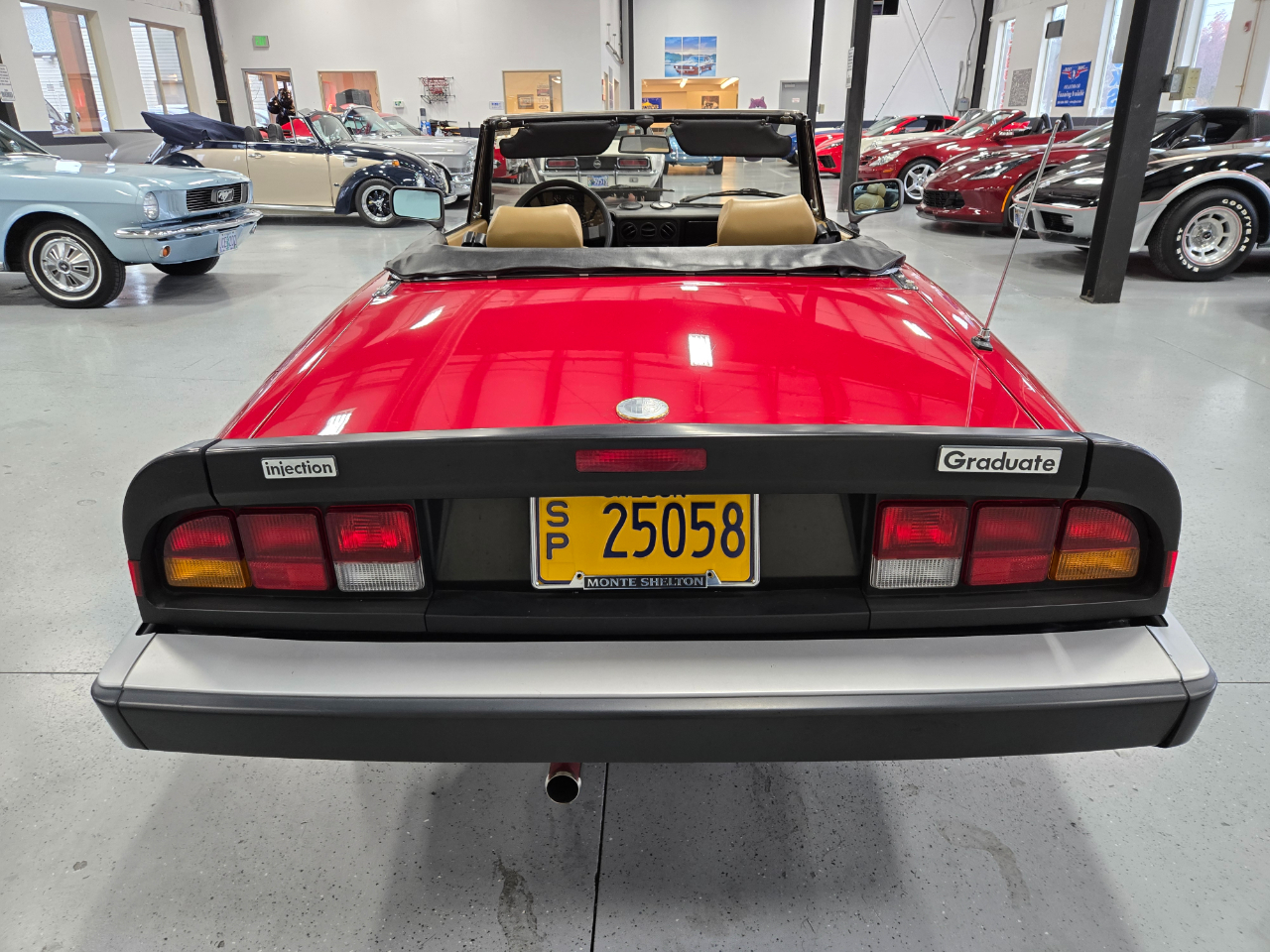 Alfa Romeo Spider 2dr Convertible Graduate 1989 Alfa Romeo Spider 2dr Convertible Graduate 1989