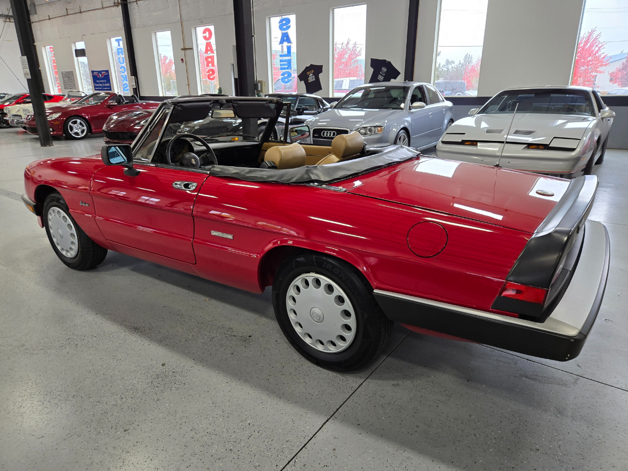 Alfa Romeo Spider 2dr Convertible Graduate 1989 Alfa Romeo Spider 2dr Convertible Graduate 1989