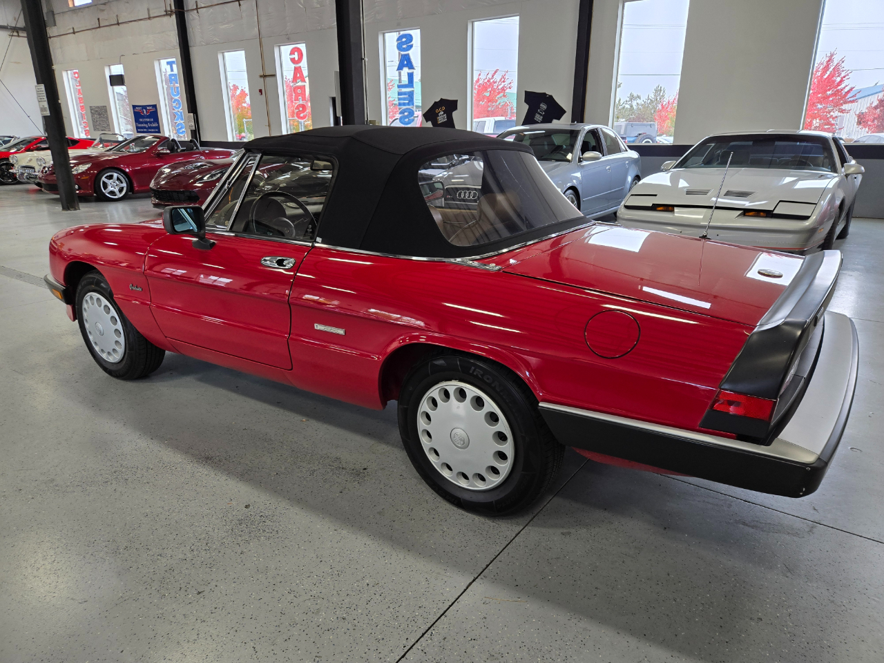 Alfa Romeo Spider 2dr Convertible Graduate 1989 Alfa Romeo Spider 2dr Convertible Graduate 1989