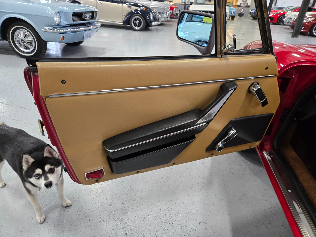 Alfa Romeo Spider 2dr Convertible Graduate 1989 Alfa Romeo Spider 2dr Convertible Graduate 1989