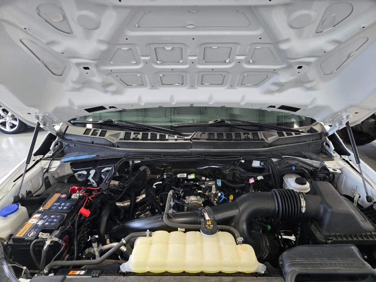 Ford F-150 XL 4WD Reg Cab 8' Box 2020