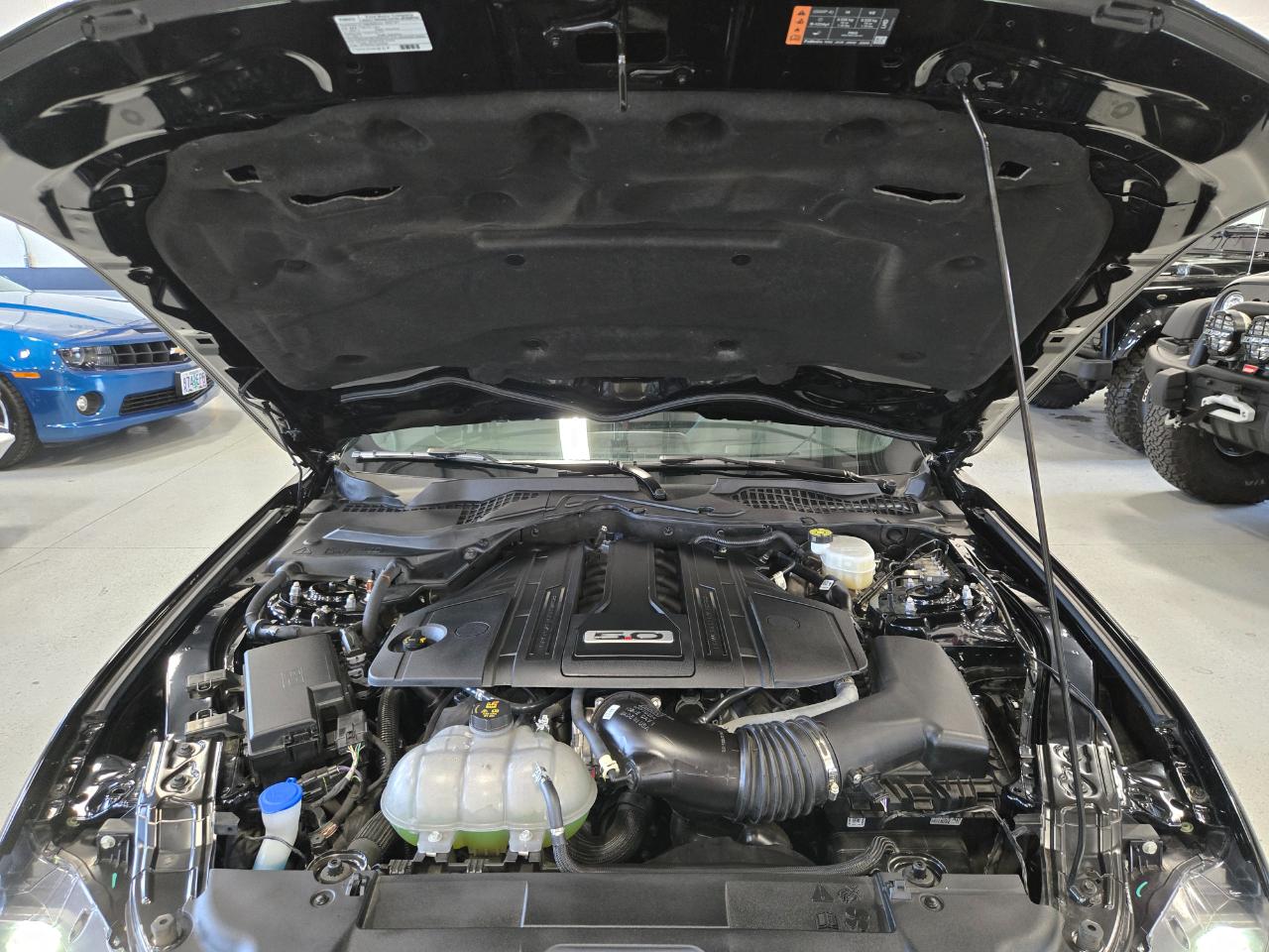 Ford Mustang GT Premium Fastback 2022