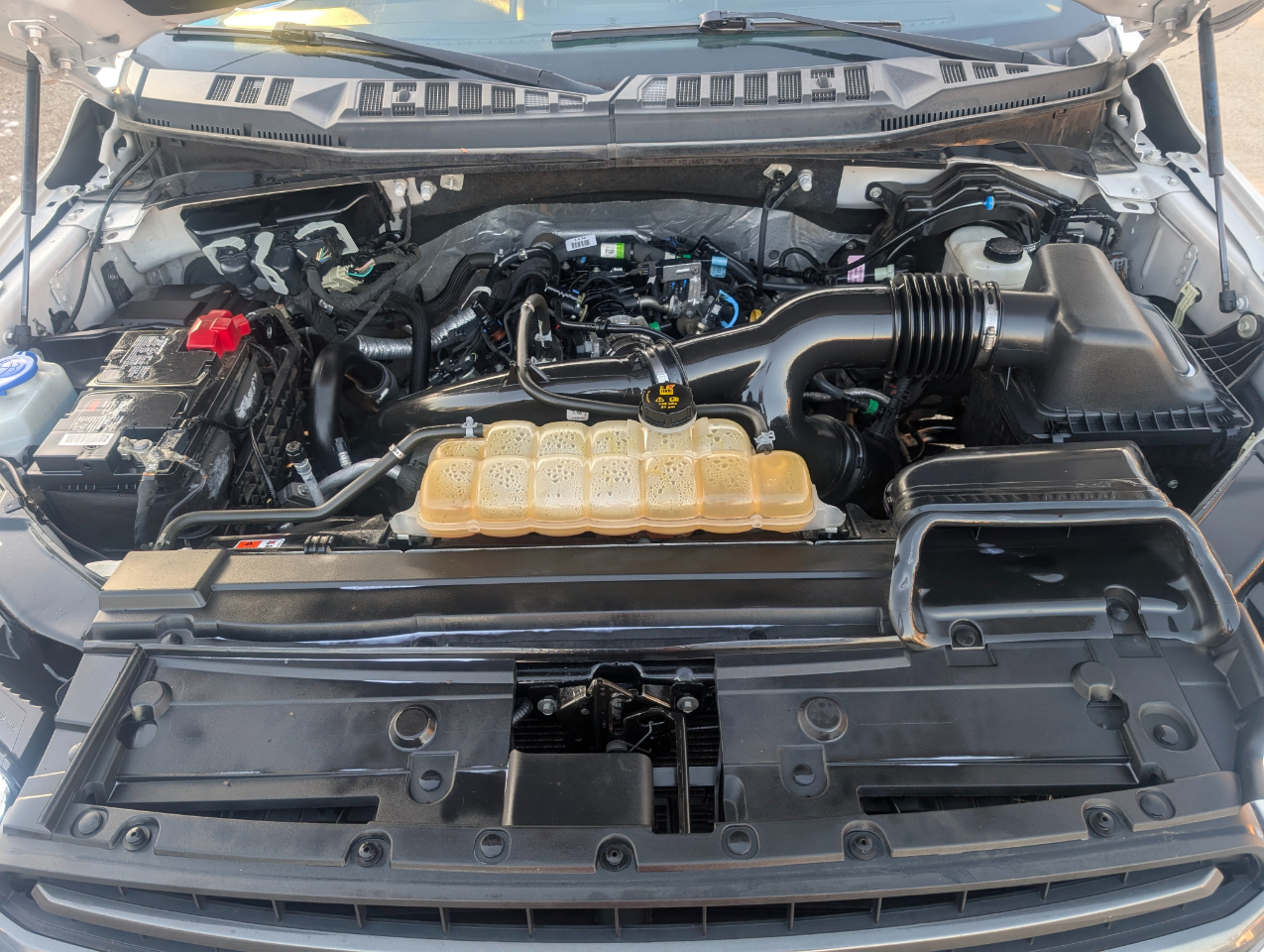 Ford F-150 XLT 4WD 2019