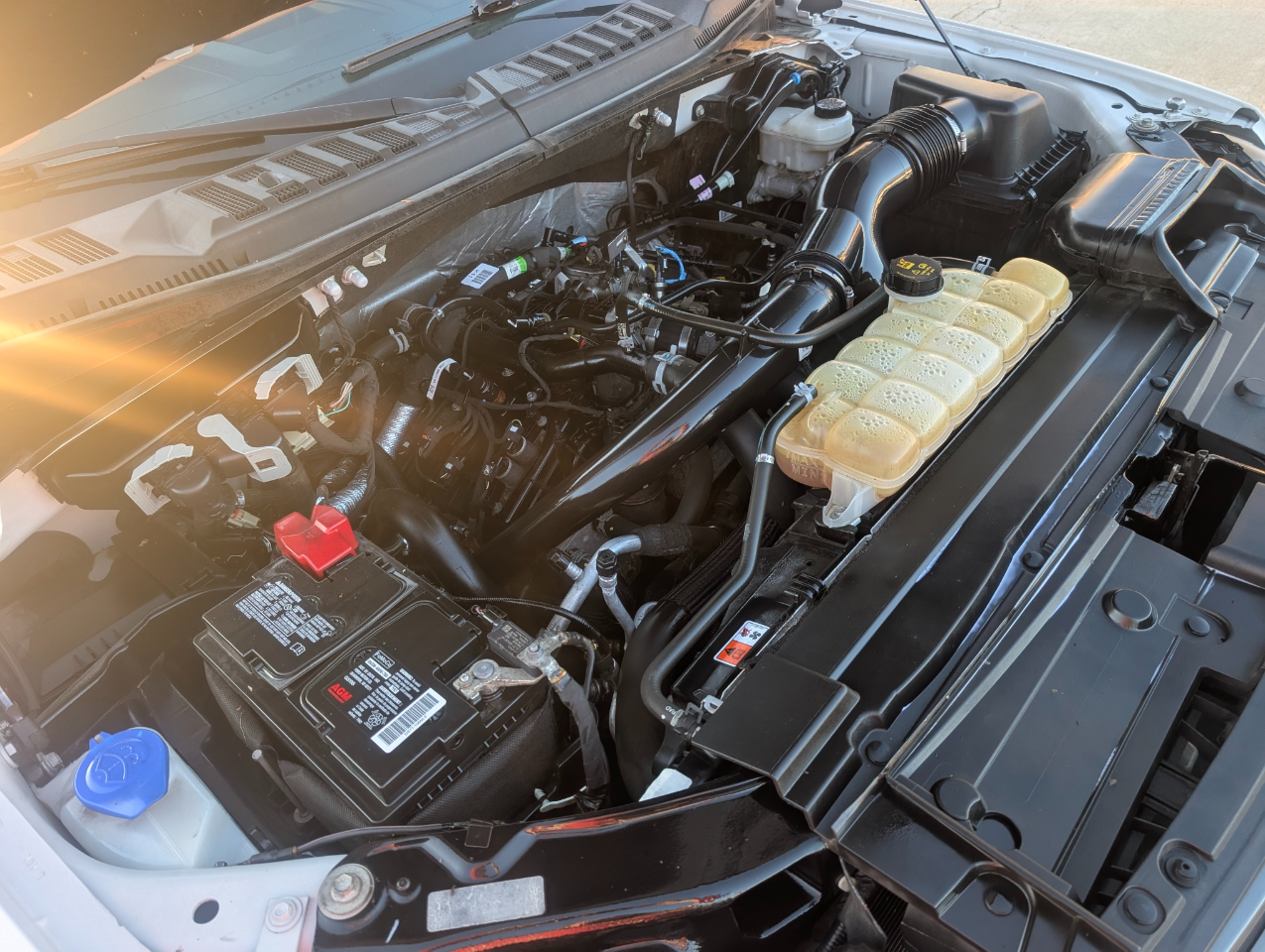 Ford F-150 XLT 4WD 2019