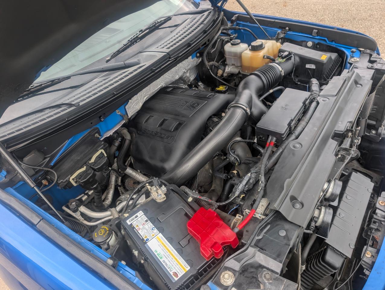 Ford F-150 XLT SuperCrew 4WD 2012