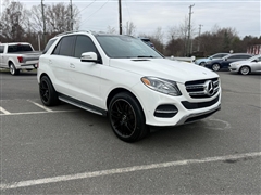 2019 Mercedes-Benz GLE-Class 