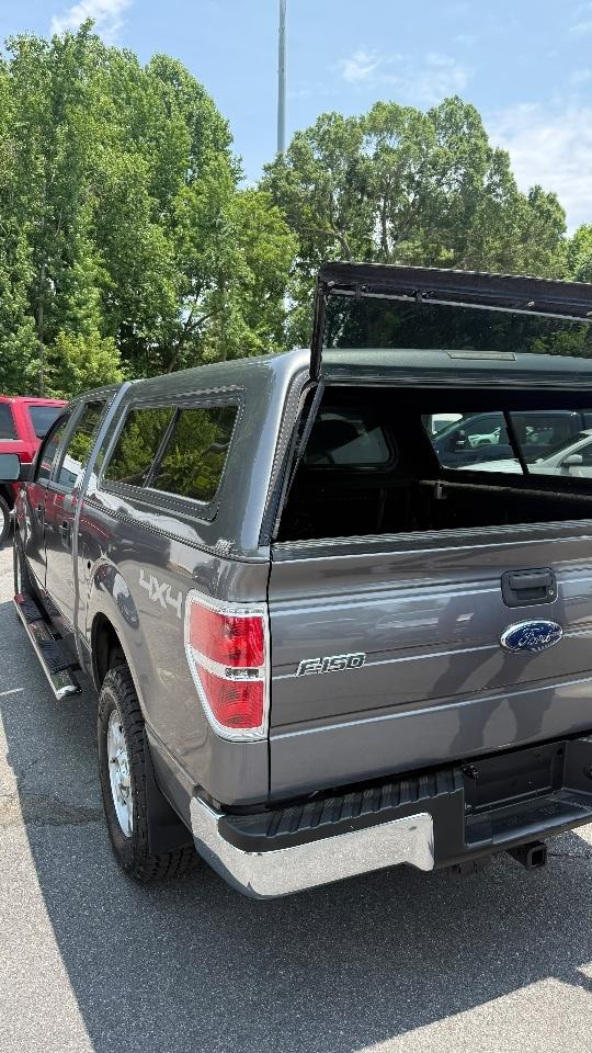 Ford F-150 4WD SuperCrew 145" XLT 2014