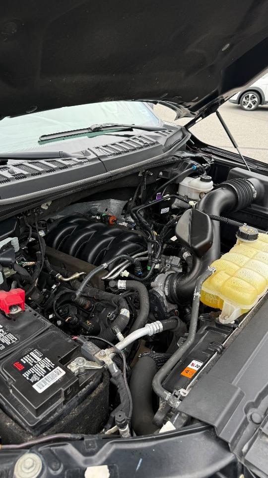 Ford F-150 XLT SuperCrew 6.5-ft. Bed 4WD 2020