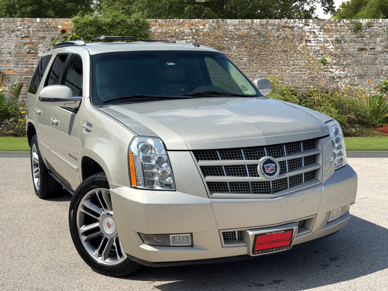 Cadillac Escalade 2WD Premium 2013