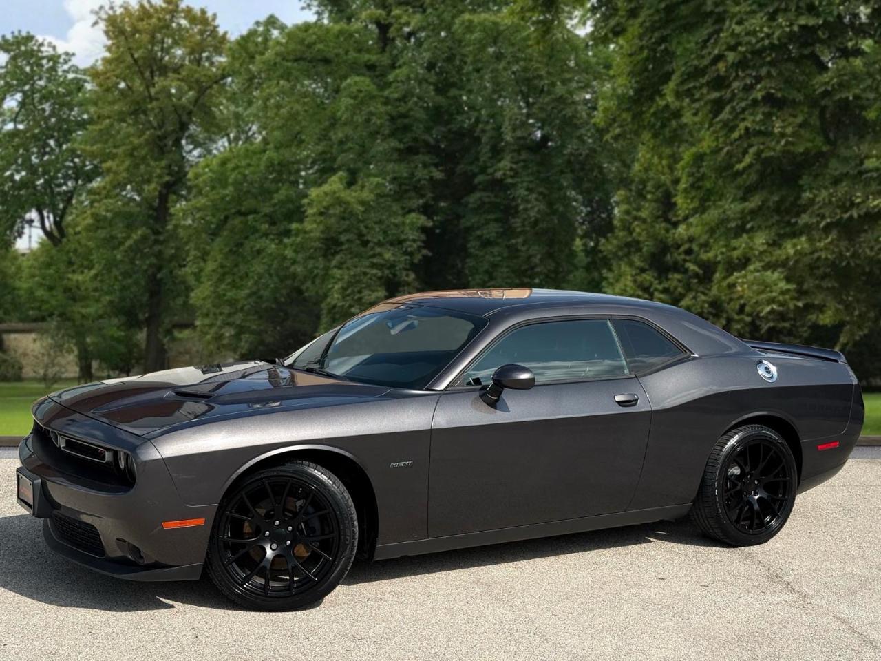 Dodge Challenger 2dr Cpe R/T Plus 2015