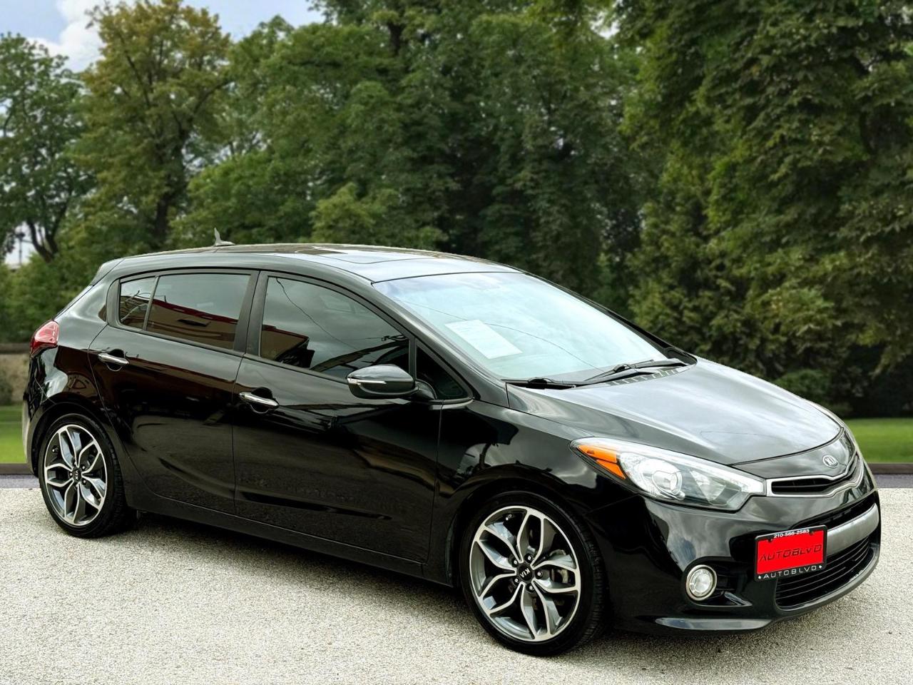 Kia Forte 5-Door 5dr HB Man SX 2014