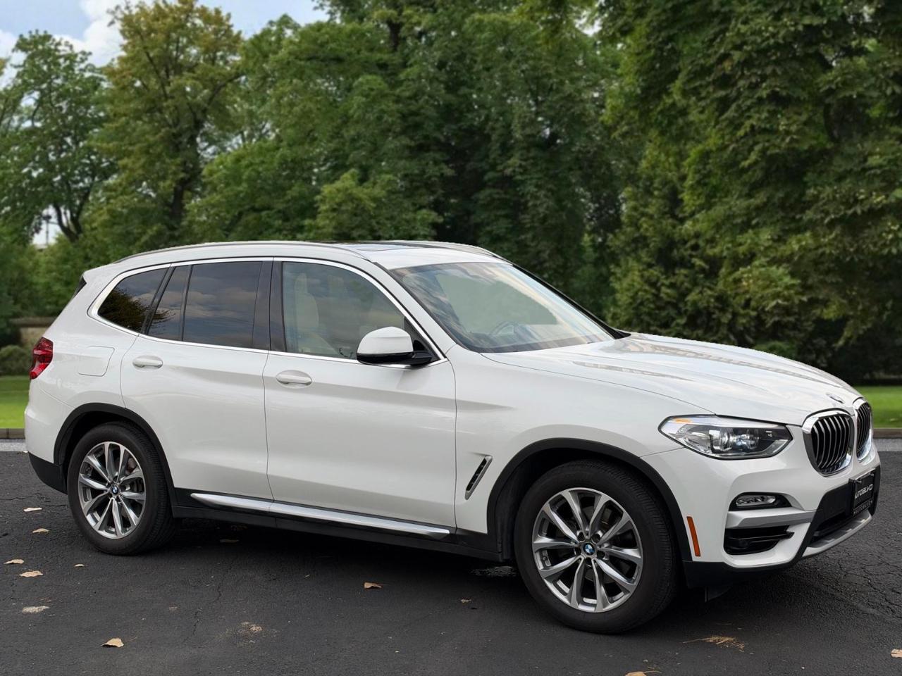 BMW X3 sDrive30i Sports Activity Vehicle 2019