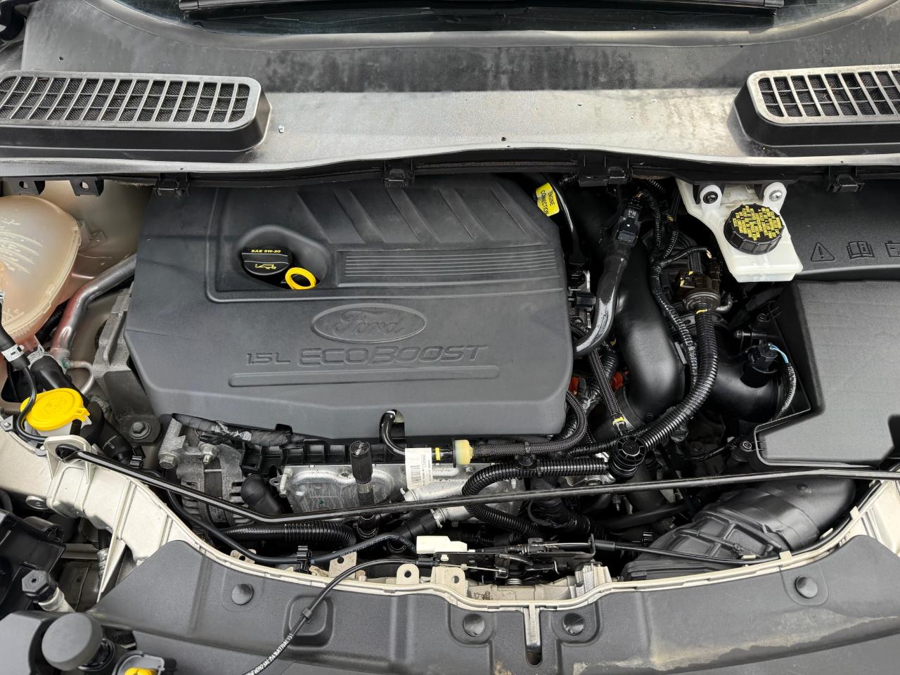 Ford Escape SE 4WD 2017