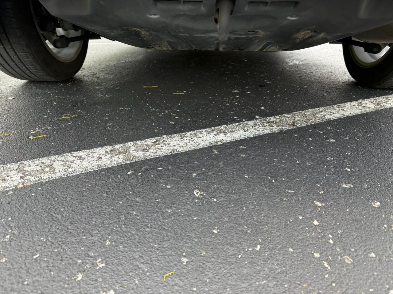 Honda Accord EX-L Sedan 2014