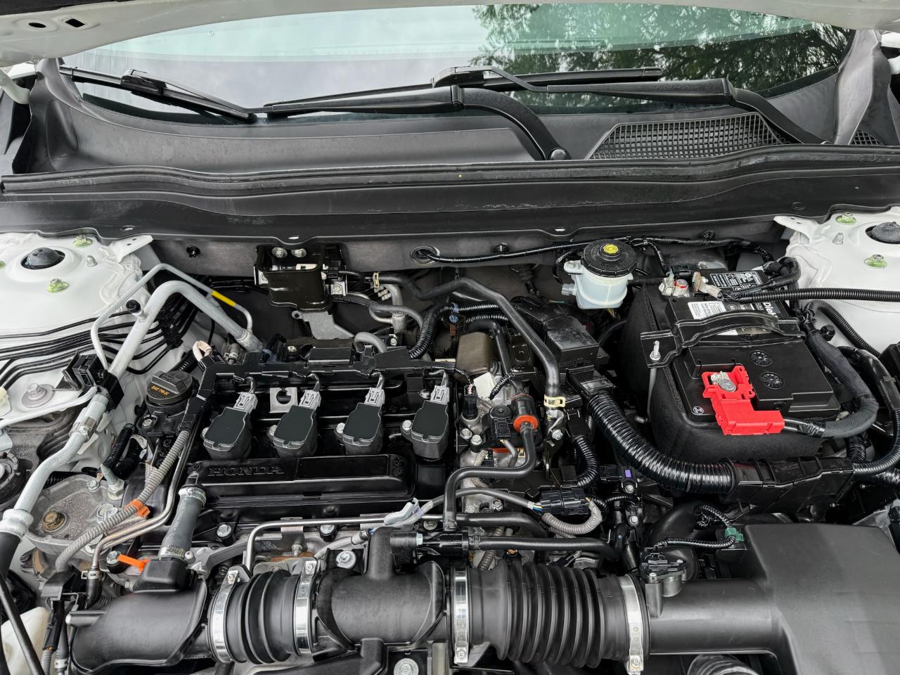 Honda Accord Sport Special Edition 2021