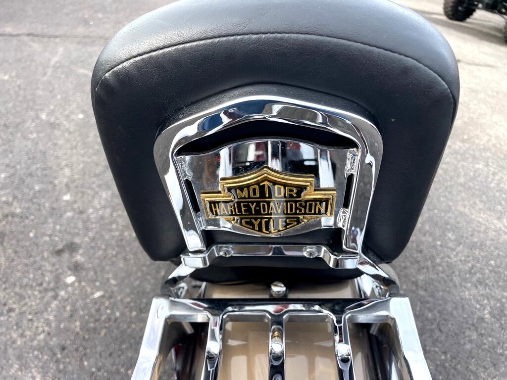 Harley-Davidson FLSTF  2004