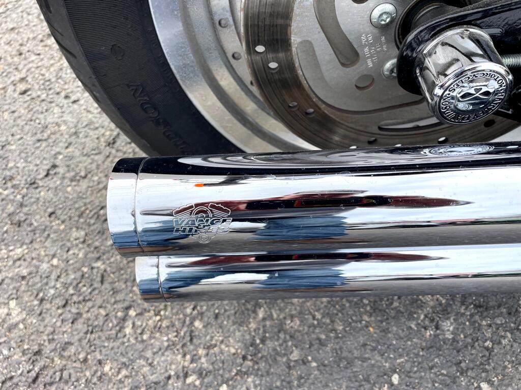 Harley-Davidson FLSTF  2004