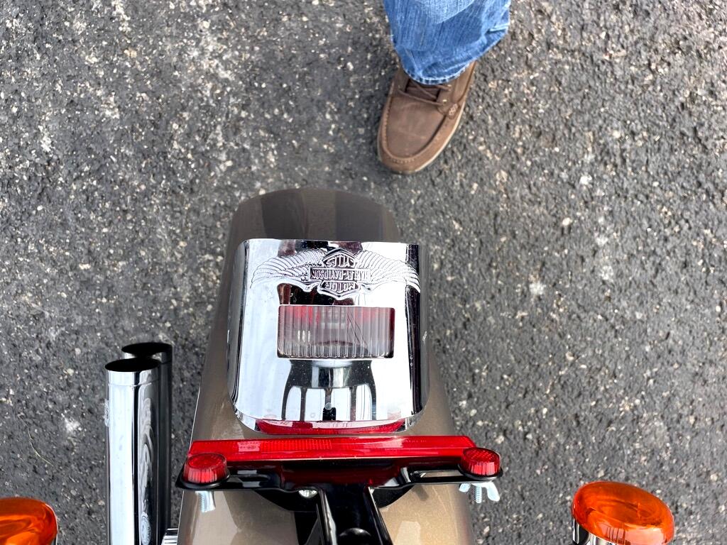 Harley-Davidson FLSTF  2004