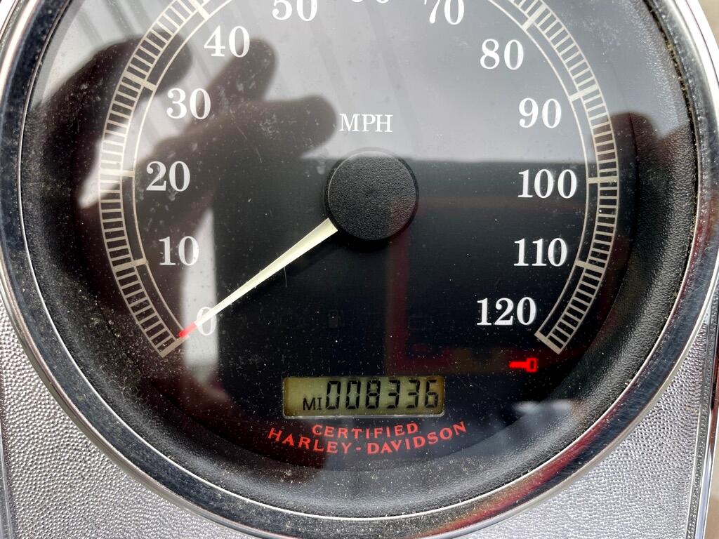 Harley-Davidson FLSTF  2004