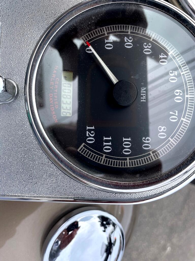 Harley-Davidson FLSTF  2004