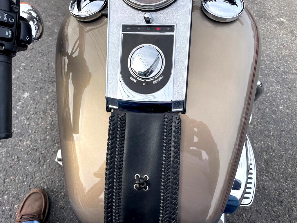 Harley-Davidson FLSTF  2004