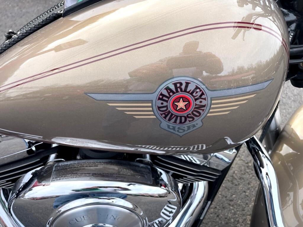 Harley-Davidson FLSTF  2004