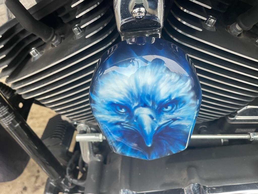 Harley-Davidson FLHX  2010