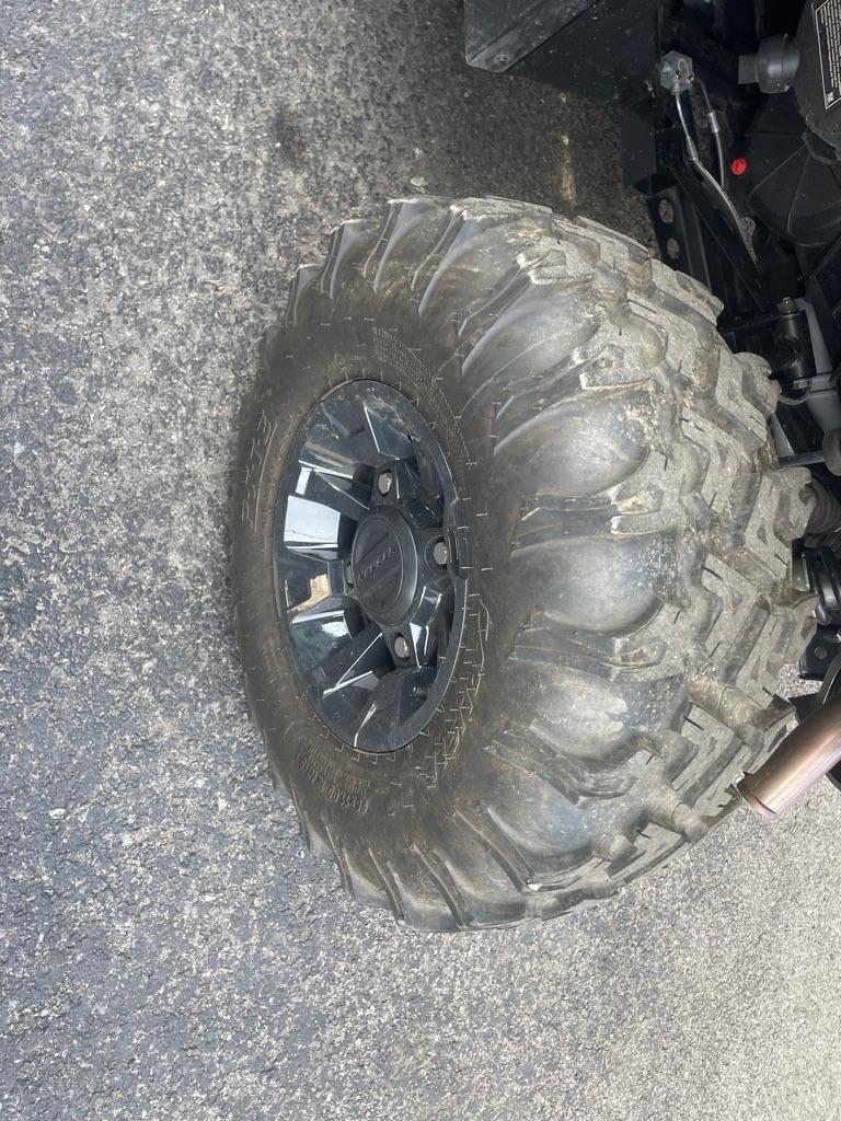 Polaris Unknown  2024