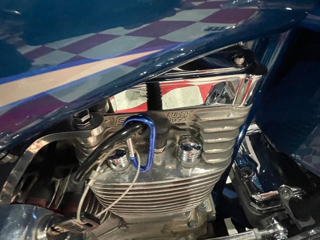 Big Dog Mastiff  2003