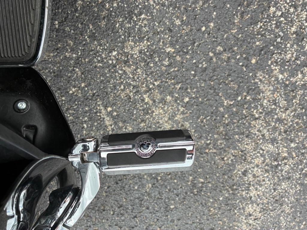 Harley-Davidson FLHTCUTG  2024
