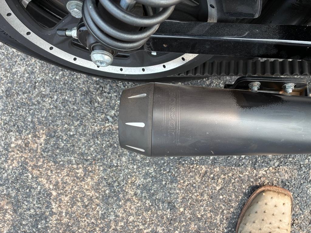 Harley-Davidson XL883N  2020