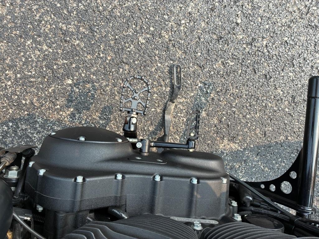 Harley-Davidson XL883N  2020