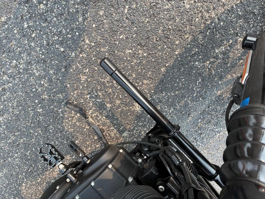 Harley-Davidson XL883N  2020