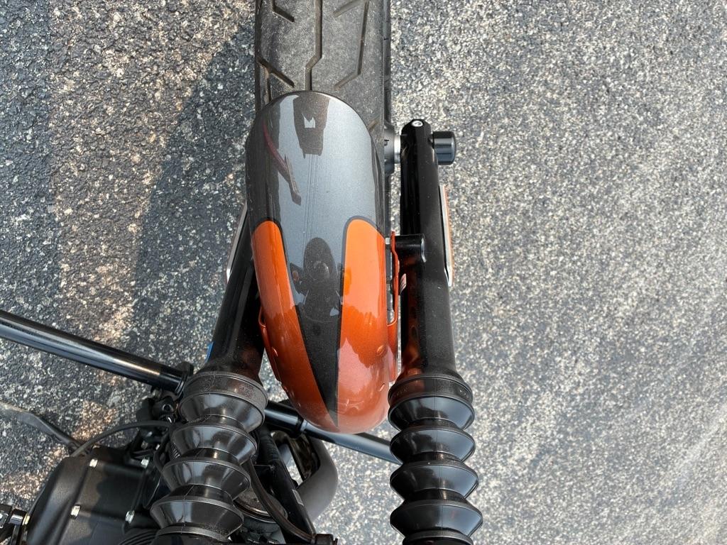 Harley-Davidson XL883N  2020