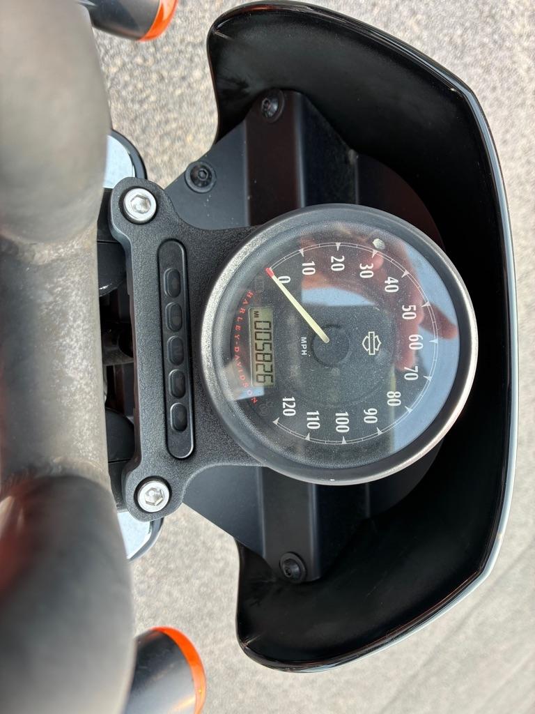 Harley-Davidson XL883N  2020