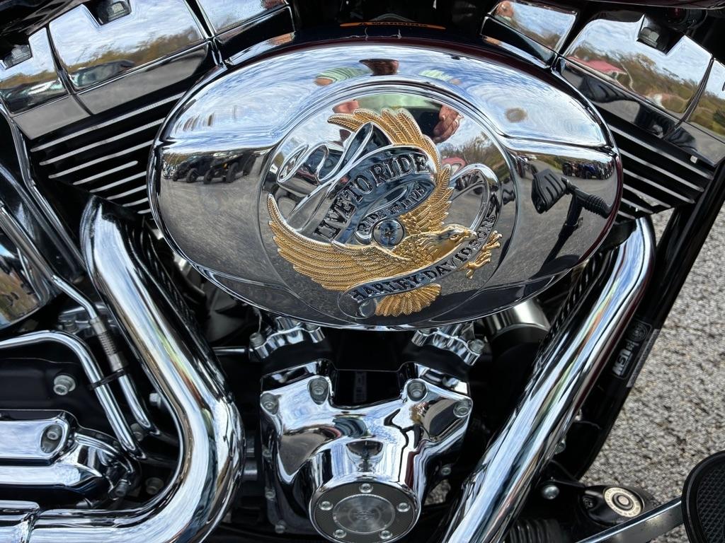 Harley-Davidson FLSTC  2009