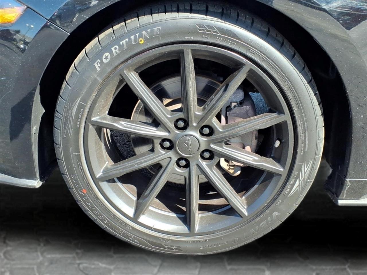 2019 Ford Mustang EcoBoost - Photo 11