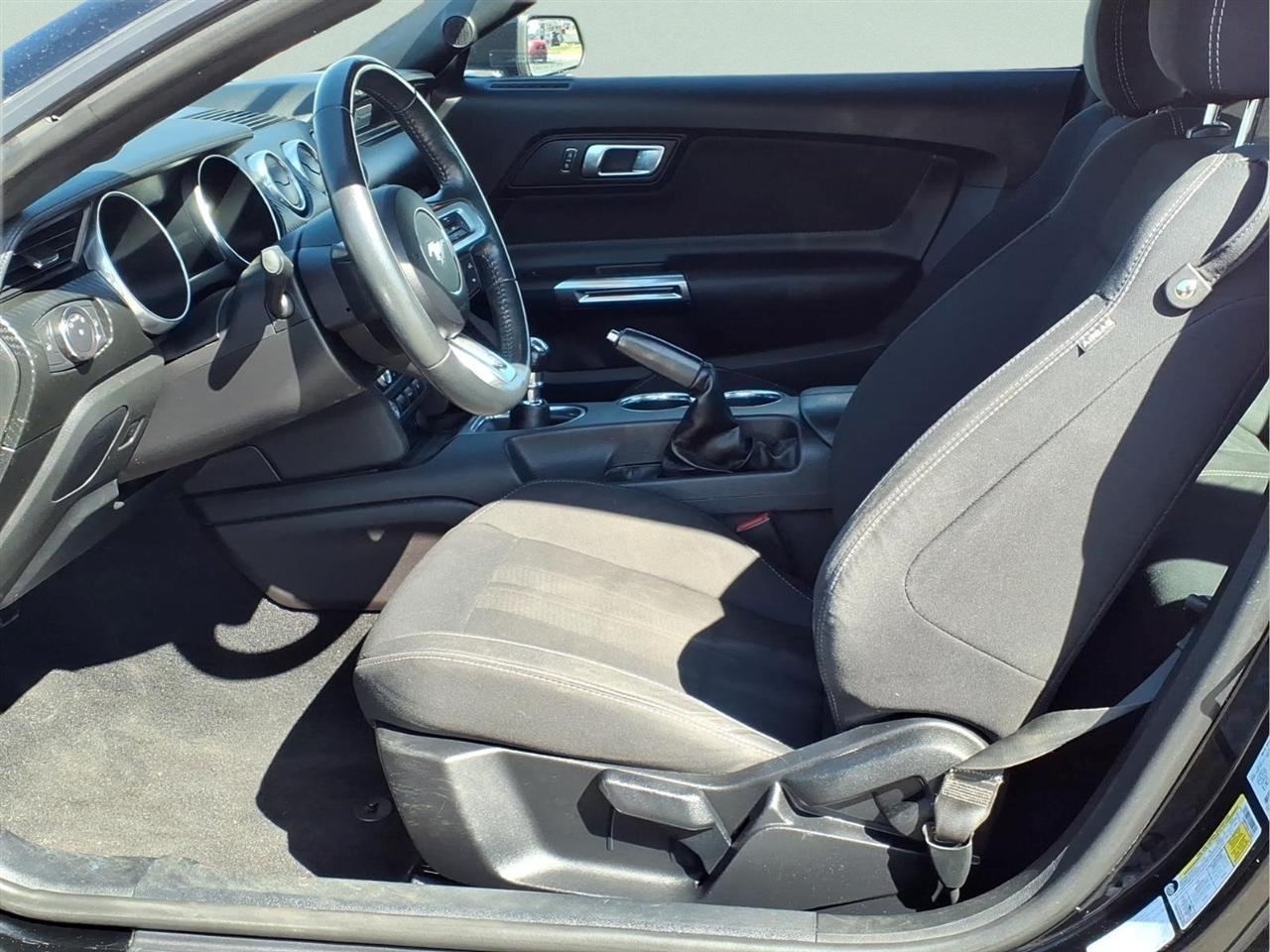 2019 Ford Mustang EcoBoost - Photo 14