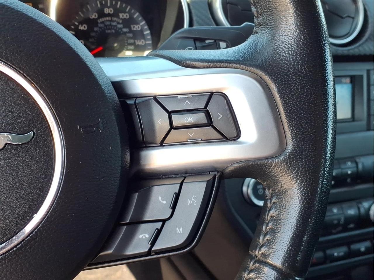 2019 Ford Mustang EcoBoost - Photo 18
